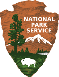 NPS