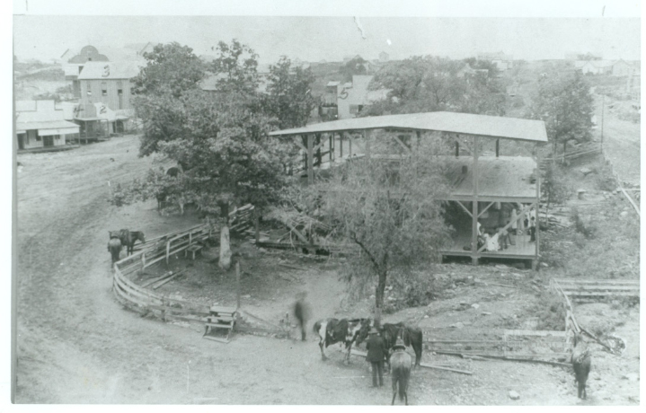 Figure One. Historic Photo of the Former Town of Sulphur Springs, Indian Territory. This community was relocated from its original site in order to create the Chickasaw National Recreation Area in Murray County, Okalahoma.