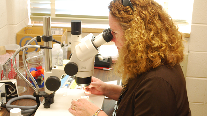 Student at Microscope